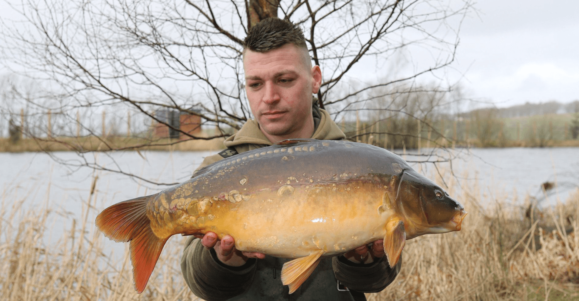 Carp caught at Selm Muir